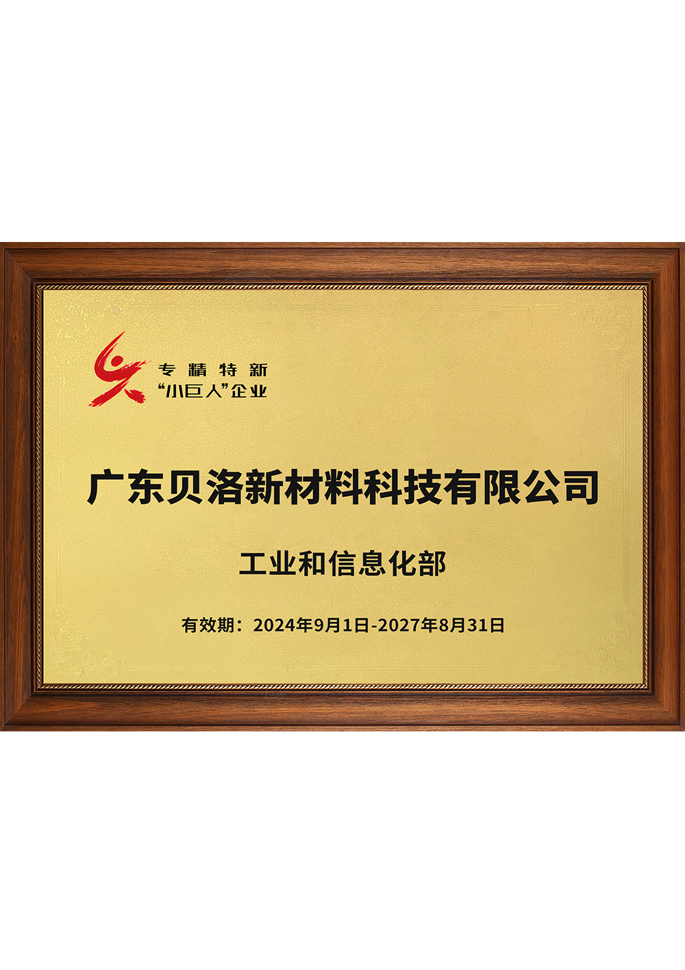 國家級專精特新“小巨人”企業